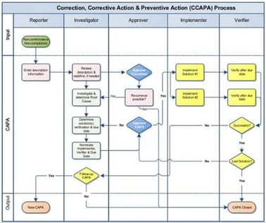 CCAPA 2.0-1-1- compressed