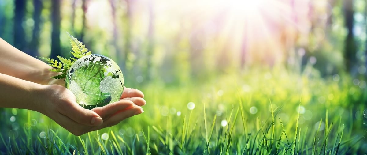 Photo of a hand holding a transparent globe representing the environment