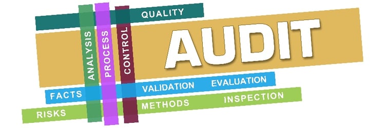 Management System Audit