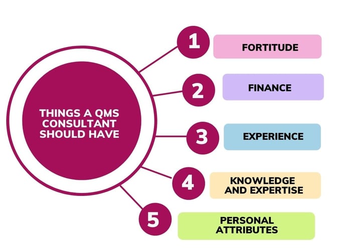 Things a QMS Consultant Should have
