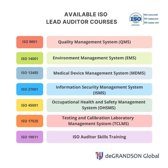 Chart showing the list of ISO Lead Auditor Courses that deGRANDSON Global offers online